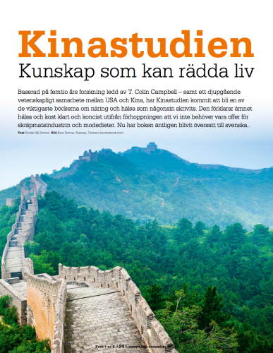 kinastudien